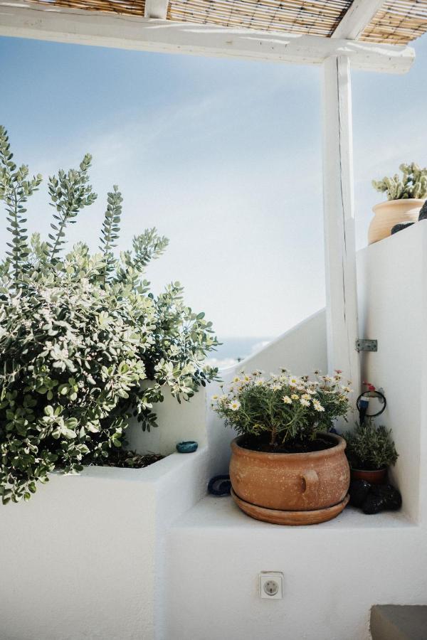 Villa Kalyva Cycladic House - Oia  Exterior foto